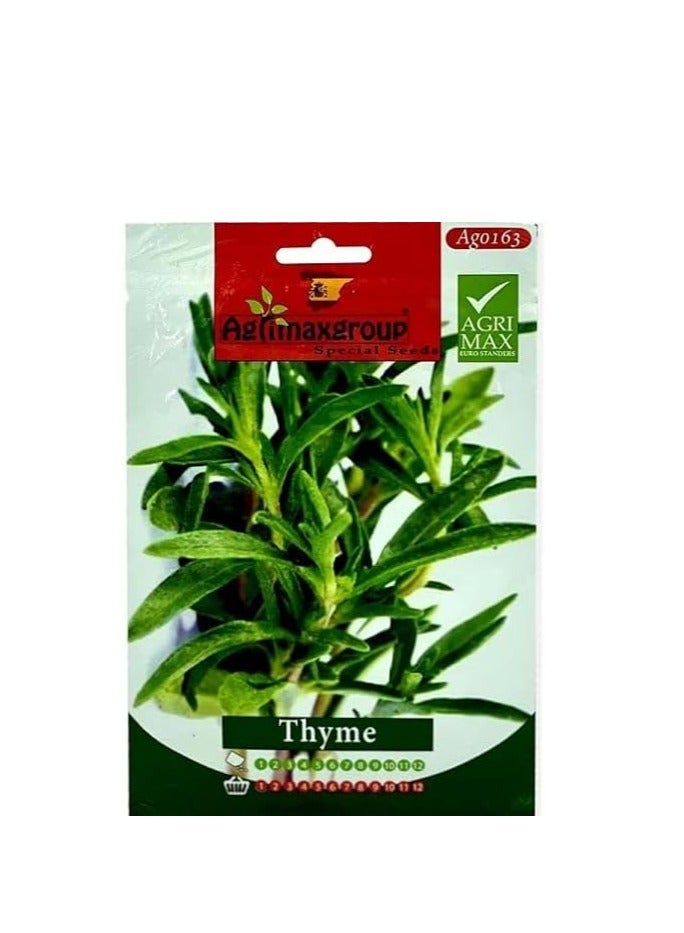 Agrimax Thyme Premium Quality Seeds by Agrimaxgroup® - Image 2