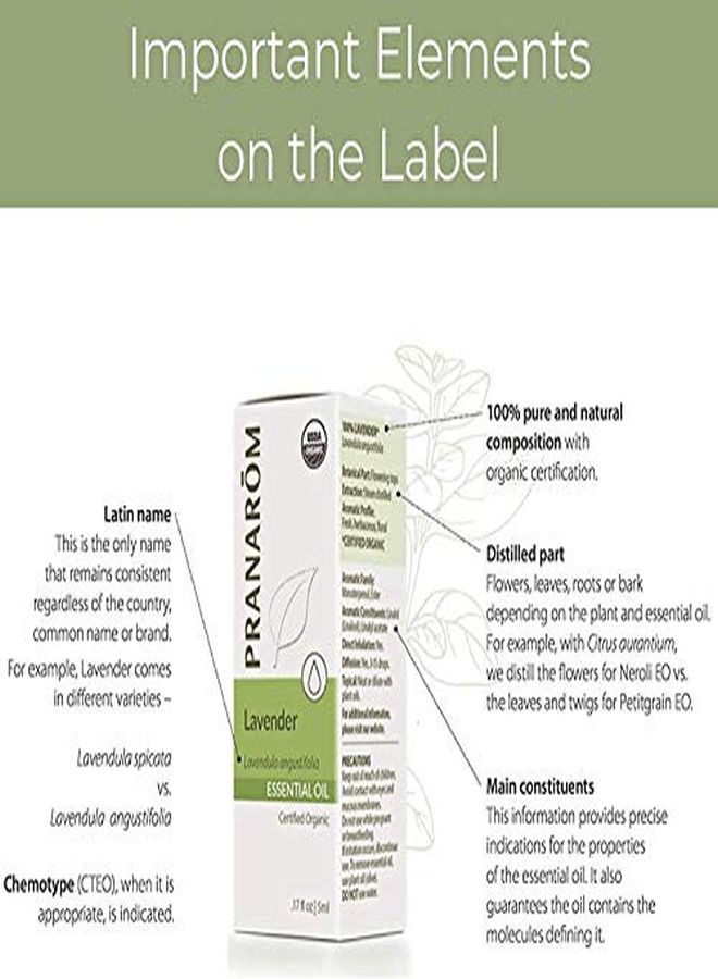 PRANAROM Vetiver Essential Oil (5Ml) 100% Pure Natural Therapeutic Grade Essential Oil For Diffusing, Skincare, And Wellness | Usda And Ecocert Certified Organic - Image 5