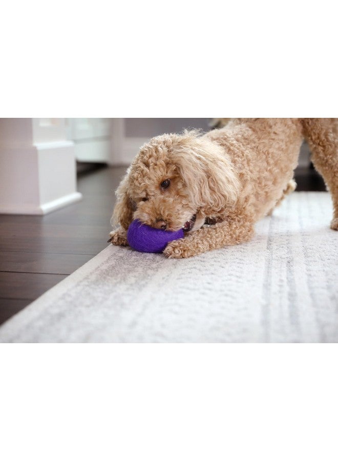 JW Wool-EE Football Handmade Wool All Natural Dog Toy for Fetch - Image 5