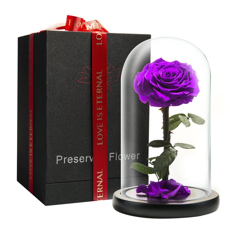 LOVAPPY Forever Preserved Rose  Eternal Rose in Glass Dome  Beauty and The Beast Rose for Mom  Fresh Flowers for Delivery Prime Purple 9 Inch