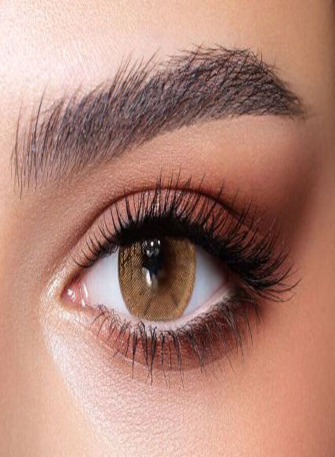 بيلا أوشن بلو 1Day The Secret Collection