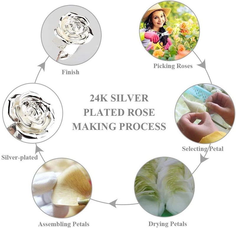 klarako 24K Silver Rose Christmas Gift for Her, Eternal Eternity Eternal Real Silver Plated Rose Flower Birthday, Wedding, Anniversary Present for Wife/Girlfriend/Grandma/Mom (Silver) - Image 4