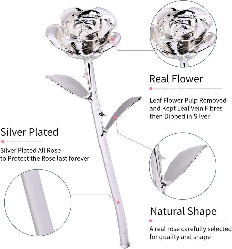 klarako 24K Silver Rose Christmas Gift for Her, Eternal Eternity Eternal Real Silver Plated Rose Flower Birthday, Wedding, Anniversary Present for Wife/Girlfriend/Grandma/Mom (Silver) - Image 3