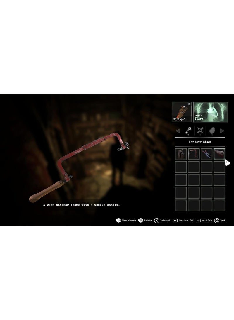 PQUBE Tormented Souls 2 - PlayStation 5 (PS5) - playstation_5_ps5 - Image 2