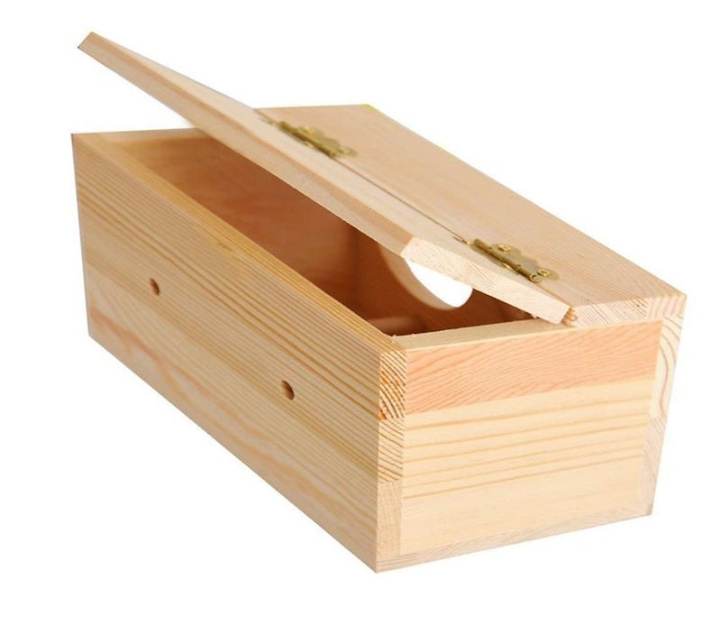 Sage Square عش طيور قابل للتعليق مصنوع من الخشب الطبيعي مع منصة للكوكتيل، المكاو، الببغاء الأفريقي - Image 3