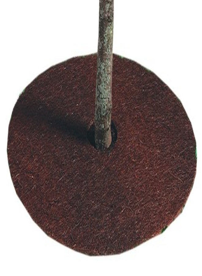 Bosmere M240 Coco Tree Protector Rings 36-Inch Round