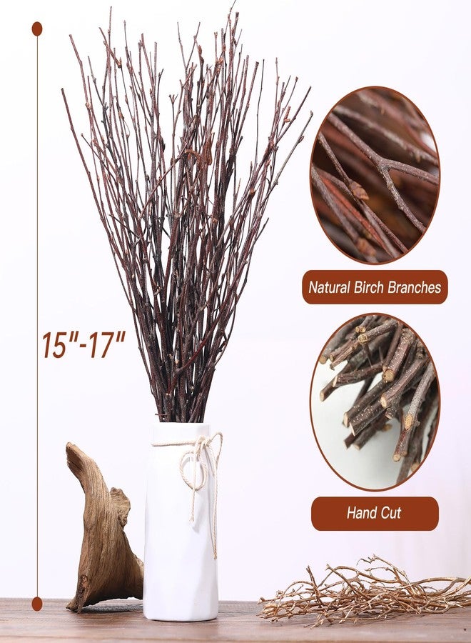 Jtoder 20Pcs Real Dried Birch Twigs - 17" Natural Decorative Birch Branches for Vase, Centerpiece, Sticks for DIY Crafts, Twig Wreath, Flower Arrangement, Plants for Rustic Home Wedding Decor - Image 3