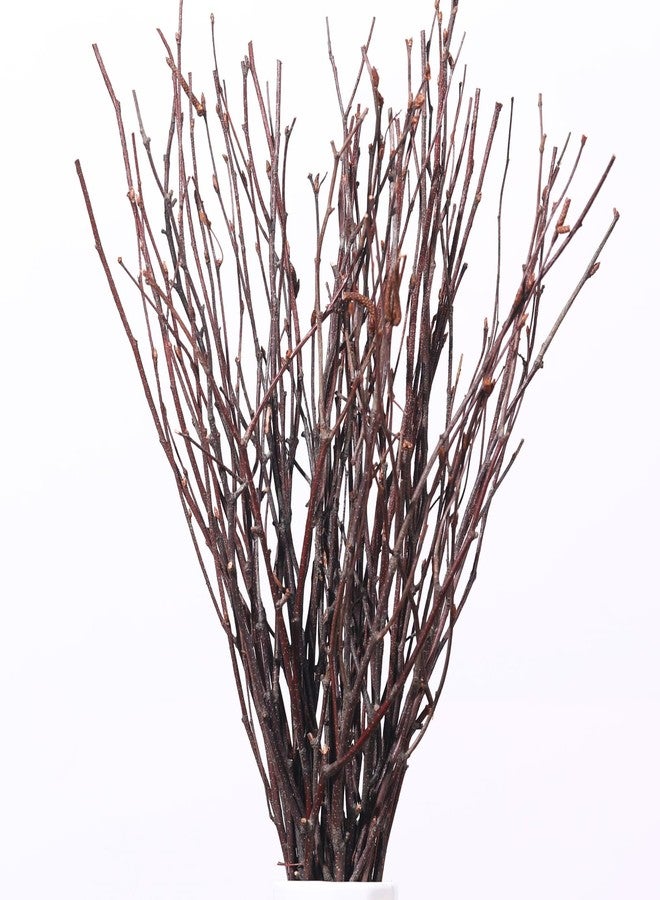 Jtoder 20Pcs Real Dried Birch Twigs - 17" Natural Decorative Birch Branches for Vase, Centerpiece, Sticks for DIY Crafts, Twig Wreath, Flower Arrangement, Plants for Rustic Home Wedding Decor - Image 1