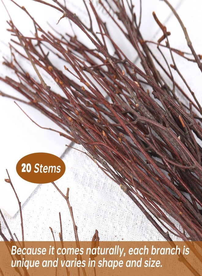 Jtoder 20Pcs Real Dried Birch Twigs - 17" Natural Decorative Birch Branches for Vase, Centerpiece, Sticks for DIY Crafts, Twig Wreath, Flower Arrangement, Plants for Rustic Home Wedding Decor - Image 2