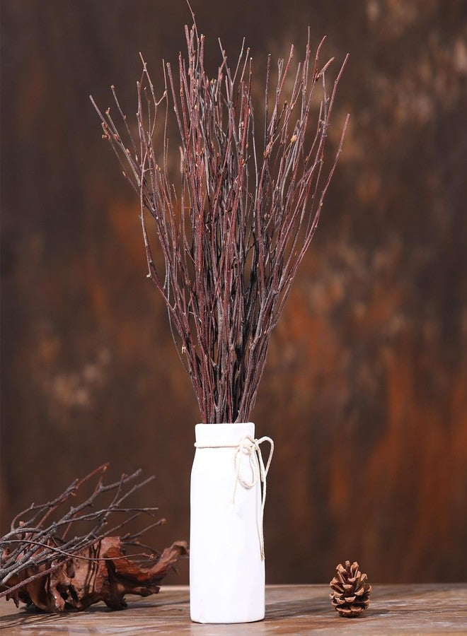 Jtoder 20Pcs Real Dried Birch Twigs - 17" Natural Decorative Birch Branches for Vase, Centerpiece, Sticks for DIY Crafts, Twig Wreath, Flower Arrangement, Plants for Rustic Home Wedding Decor - Image 4