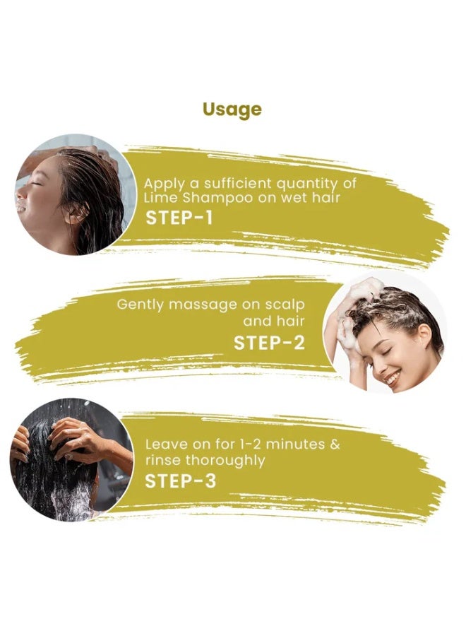 Dhathri Dheedhi Dandruff Control Lime Shampoo - 250 ml - Image 5