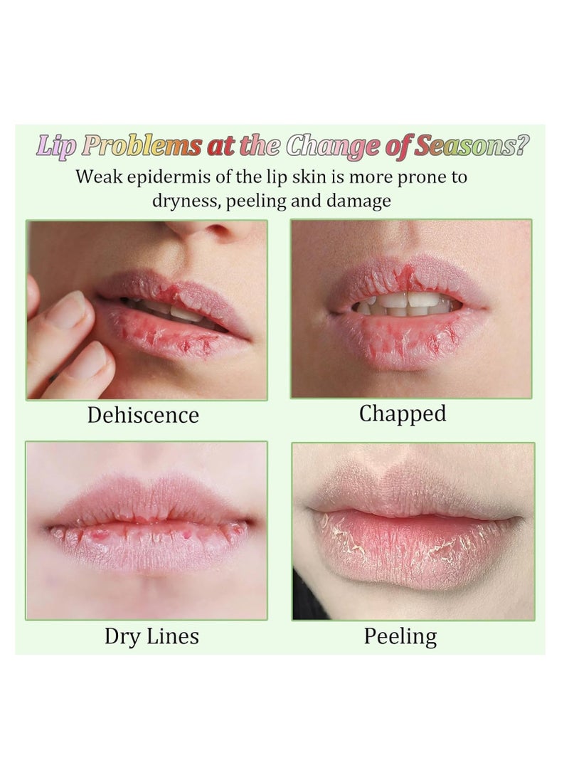 DIMSHOW 6PCS Mini Lip Balm Set, Fruit Flavored Multipack, Moisturizing and Hydrating Lip Balm Stick, Lip Sleeping Mask for Dry and Cracked Lips, Repair and Lip Care Essentials - Image 2