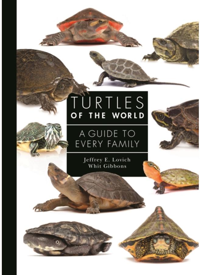 Turtles of the World : A Guide to Every Family