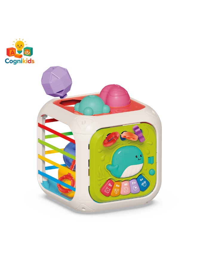 COGNIKIDS صندوق فرز الأشكال للأطفال 7 في 1 – لعبة تعليمية مع بيانو موسيقي، لعبة حبل مرن، كتل تكديس وأشكال هندسية | مكعب التعلم مونتيسوري للأطفال من عمر 18 شهرًا وما فوق - Image 2