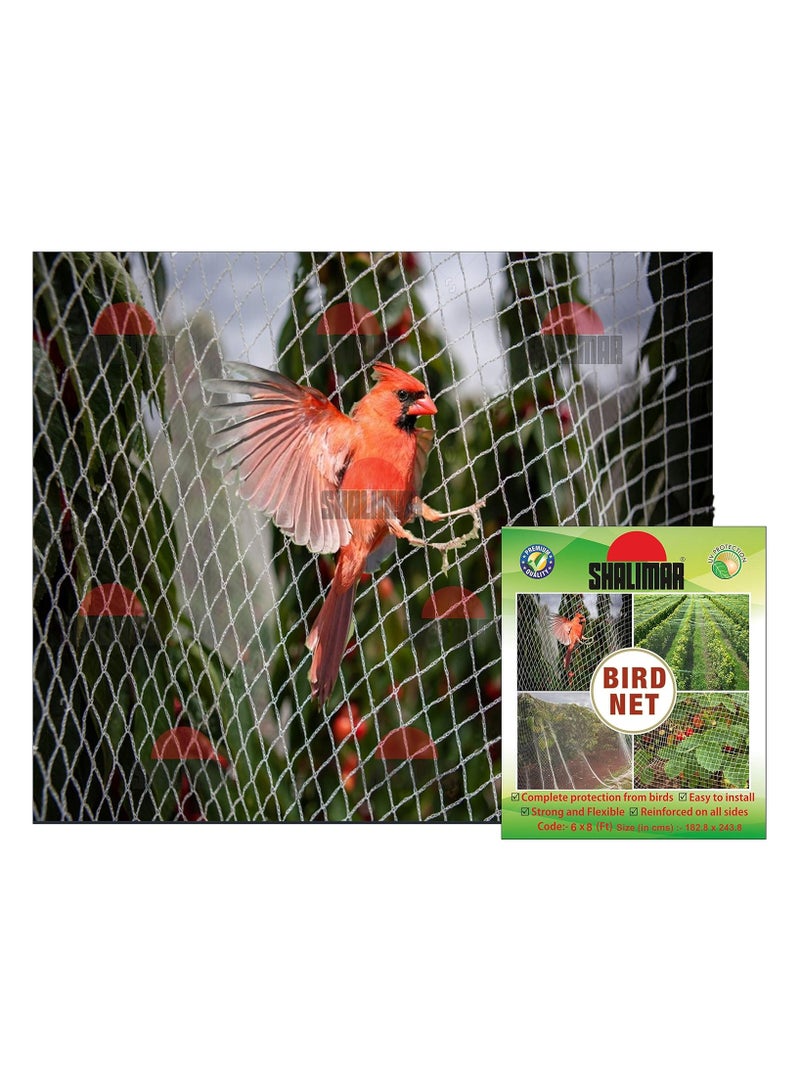 shalimar Shalimar Anti-Bird Net – 6 x 8 Feet – UV Stabilized Anti Bird/Pigeon Net – HDPE Monofilament Garden Netting for Balcony, Window, Plants – Natural Color – 1 Piece - Image 1