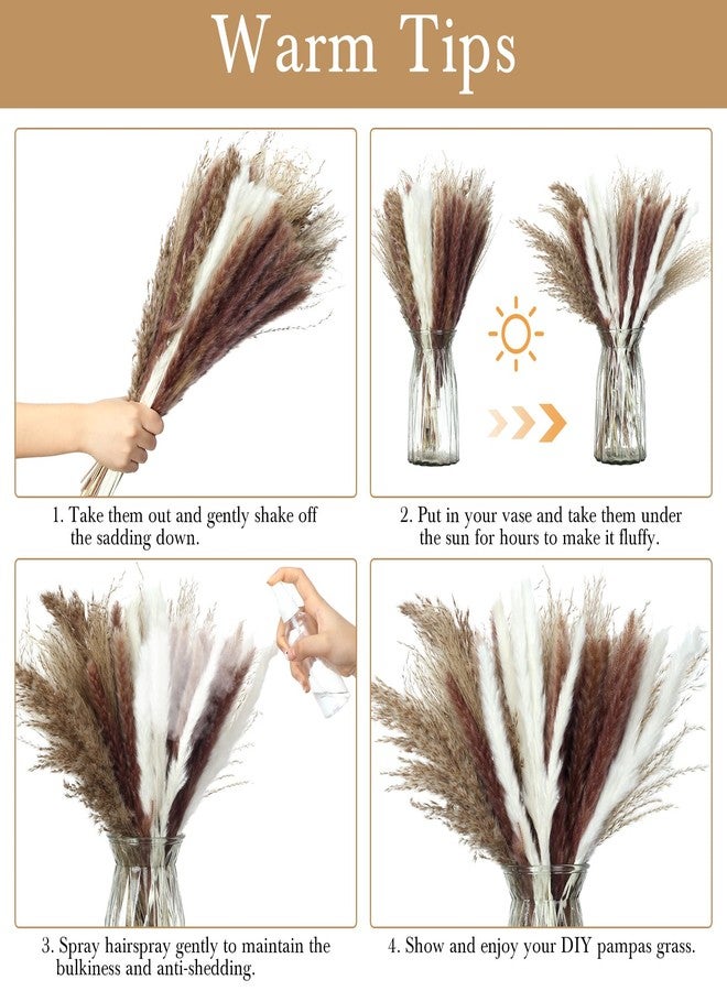 تريلا 650 قطعة من عشب البامباس المجفف، 17 بوصة، ذيل أرنب مجفف، عشب بامباس منفوش، باقة من عشب البامباس الطبيعي، زهور مجففة لحفلات الزفاف، بوهو، لتزيين طاولة المنزل والحفلات (كلاسيكي) - Image 4