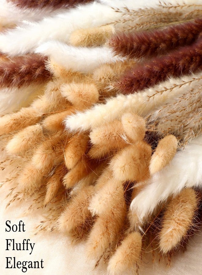 تريلا 650 قطعة من عشب البامباس المجفف، 17 بوصة، ذيل أرنب مجفف، عشب بامباس منفوش، باقة من عشب البامباس الطبيعي، زهور مجففة لحفلات الزفاف، بوهو، لتزيين طاولة المنزل والحفلات (كلاسيكي) - Image 5