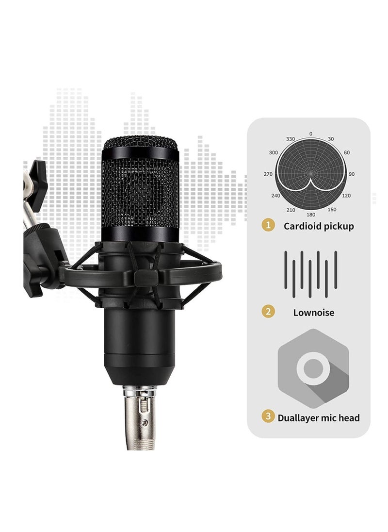 BGM Podcast Equipment Set, BM-800 Mic Kit with V8 Live Sound Card, Condenser PC Gaming Mic with Professional Audio Mixer, Prefect for Streaming, Computer, Singing, Youtube, Recording (BLACK)  - Image 2
