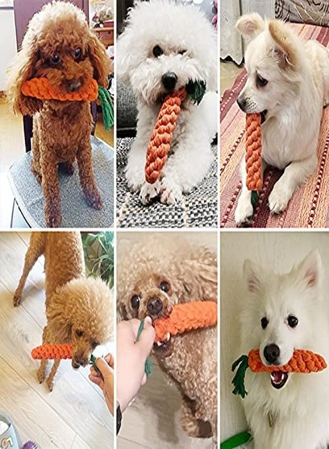 PETLICIOUS & MORE ألعاب بيتليشوس آند مور® للجراء والكلاب الصغيرة: كرة تسنين شائكة | كرة حبل | لعبة حبل لتنظيف اللثة | لعبة شبشب مضغ للكلاب مصنوعة من مزيج القطن والبوليستر | لعبة عظمة مضغ مطاطية، عبوة من 5 قطع - Image 2