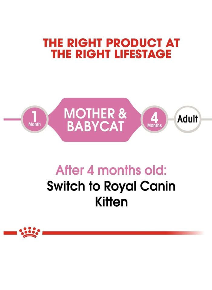 ROYAL CANIN Feline Health Nutrition Mother & Babycat Mousse (WET FOOD - Cans) 12 x 195g - Image 4