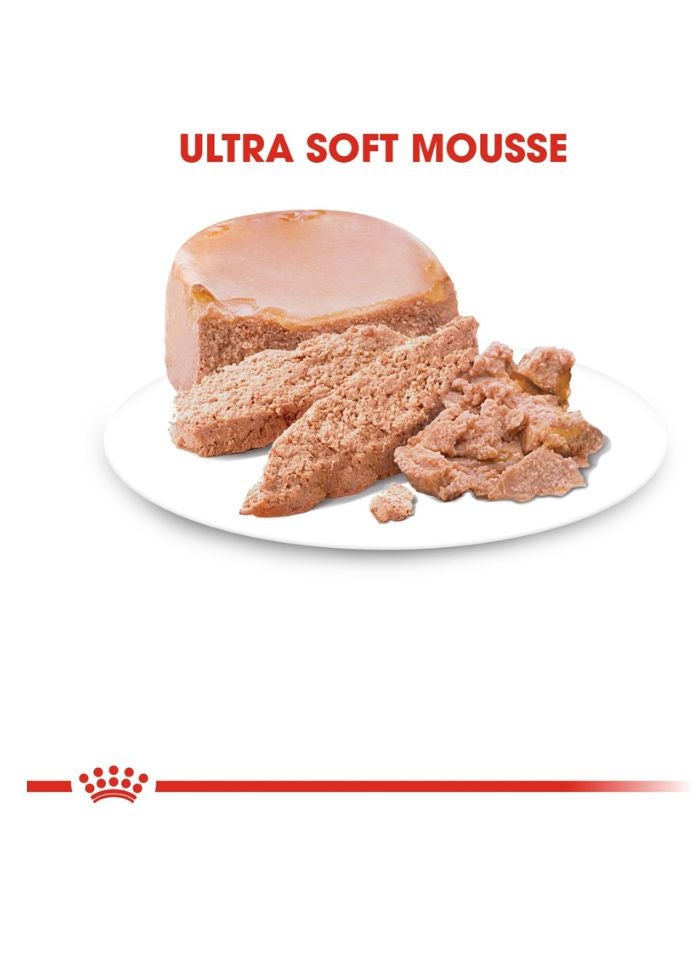 ROYAL CANIN Feline Health Nutrition Mother & Babycat Mousse (WET FOOD - Cans) 12 x 195g - Image 2