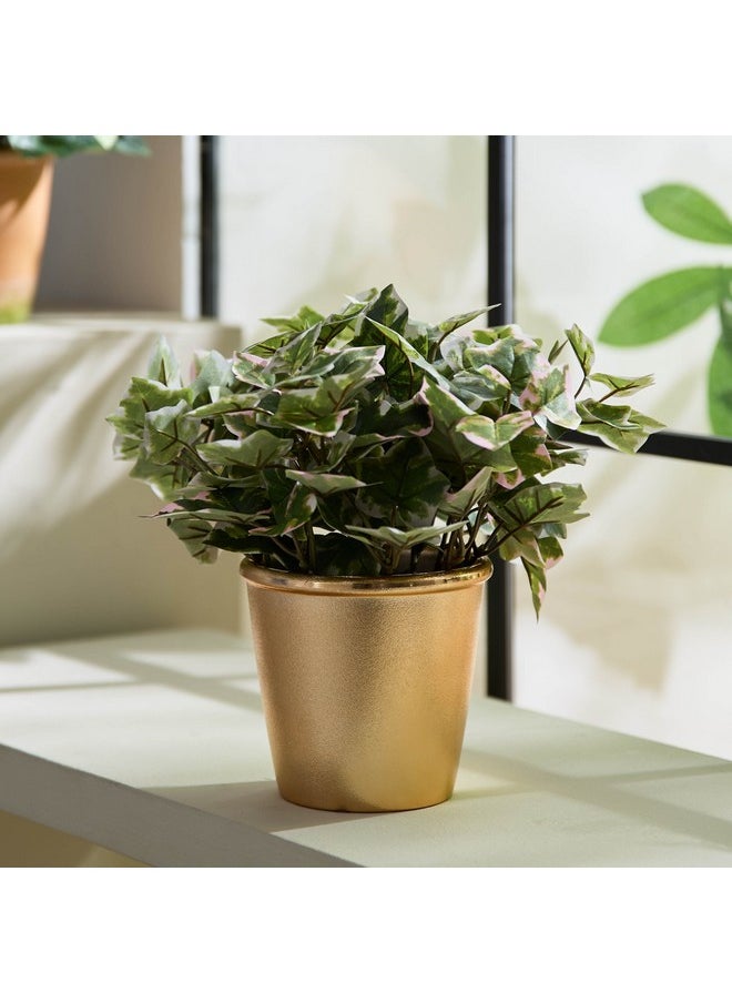 Home Box Liara Ivy Leaves Potted Plant 28 cm  - Image 1