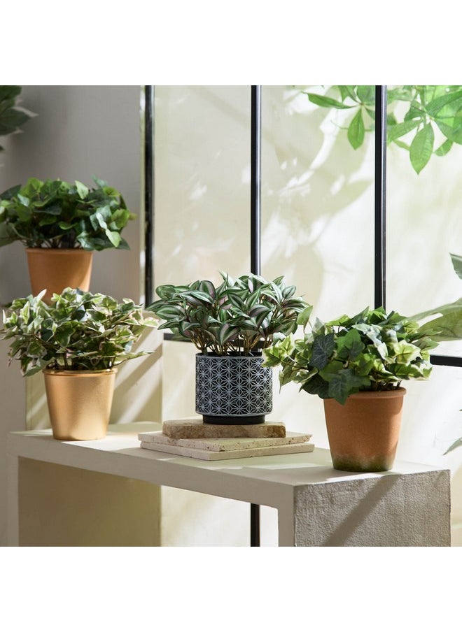 Home Box Liara Ivy Leaves Potted Plant 28 cm  - Image 4
