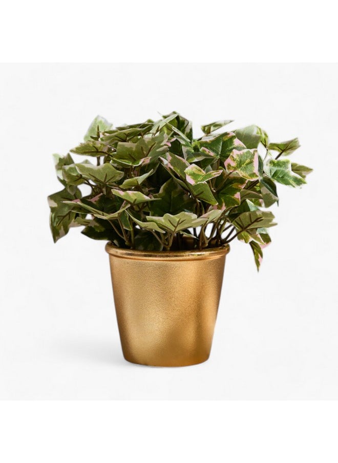 Home Box Liara Ivy Leaves Potted Plant 28 cm  - Image 5