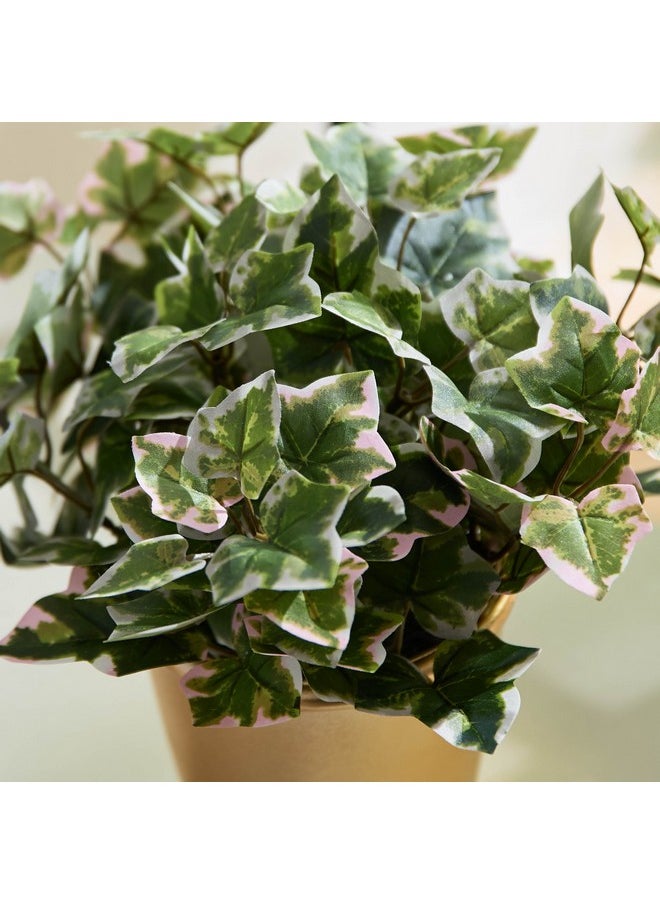 Home Box Liara Ivy Leaves Potted Plant 28 cm  - Image 2