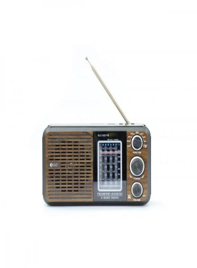 DLC Portable radio with bluetooth  - Image 1