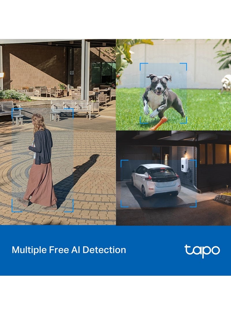 TP-LINK Tapo C520WS 2K Outdoor Pan/Tilt Security Wi-Fi Camera,IP66 Weatherproof, AI Detection,360° Visual Coverage, Starlight Colour Night Vision, Cloud &Local Storage, Works with Alexa&Google Home - Image 5