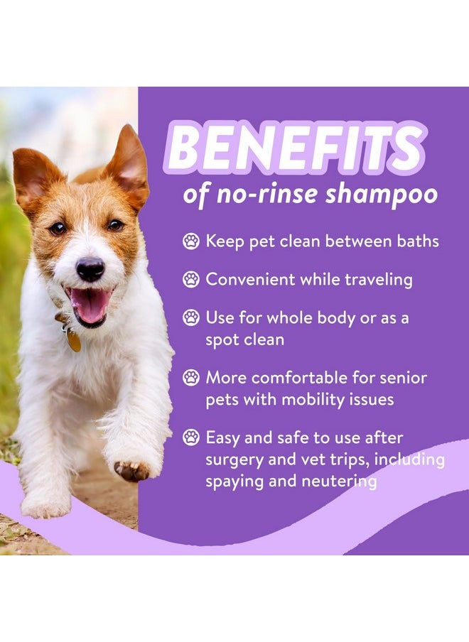 Bodhi Dog - Waterless Shampoo | Natural Dry Shampoo For Dogs Or Cats | Neutralizes Pet Odor | No Rinse Required | Made With Natural Extracts | Vet Approved Made In Usa (Lavender, 8 Fl Oz) - Image 1