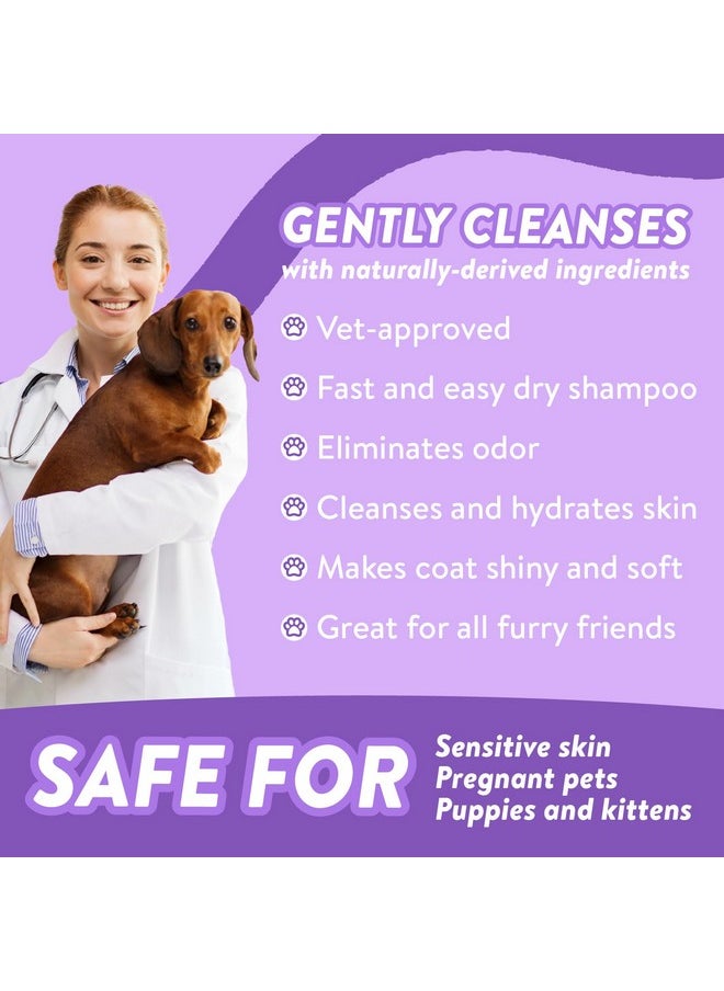 Bodhi Dog - Waterless Shampoo | Natural Dry Shampoo For Dogs Or Cats | Neutralizes Pet Odor | No Rinse Required | Made With Natural Extracts | Vet Approved Made In Usa (Lavender, 8 Fl Oz) - Image 1