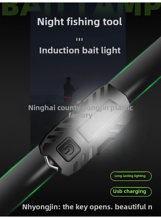 Factory LED Outdoor Fishing Light Night Fishing Rod Induction Bait Light, Night Light Fishing Artifact Super Bright Portable Mini 