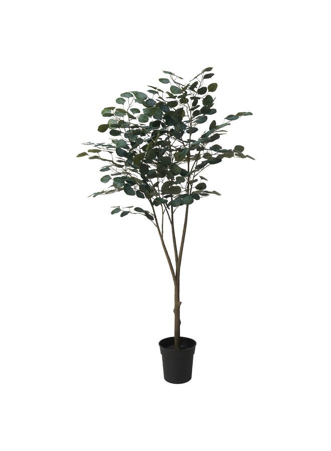 erorex Artificial Potted Plant, In/Outdoor Eucalyptus, 19 Cm - Image 1