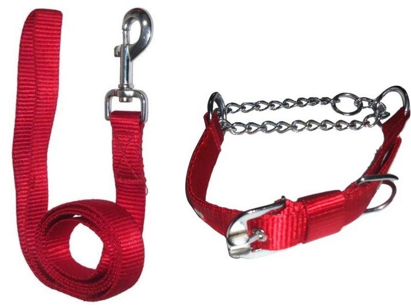 Skora Leash (Chain) with Collar Set for Dogs - Color Red with Silver Chain Size Large - Image 2