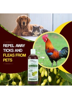 HillDews Neem Oil (200Ml) Pure Natural Unrefined Cold Pressed For Skin And Hair - 200 Ml  - Image 5