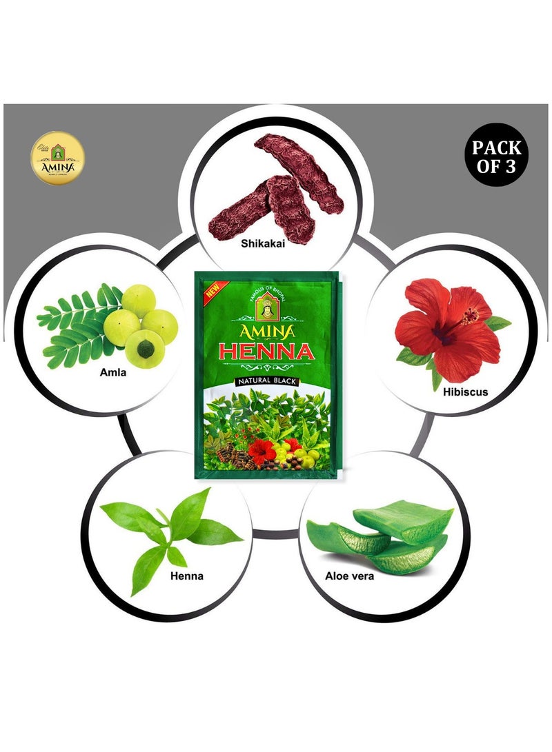 Amina Natural Black Henna Powder For Hair Color, Natural Black Hair, Herbal Conditioning Hair Dye for Silky & Shiny Soft Hair Colour for Men & Women (25 Gms x Pack Of 3) - Image 2