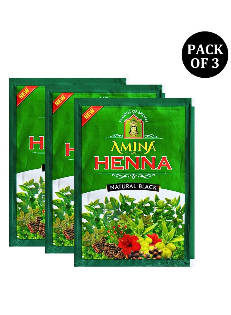 Amina Natural Black Henna Powder For Hair Color, Natural Black Hair, Herbal Conditioning Hair Dye for Silky & Shiny Soft Hair Colour for Men & Women (25 Gms x Pack Of 3) - Image 3