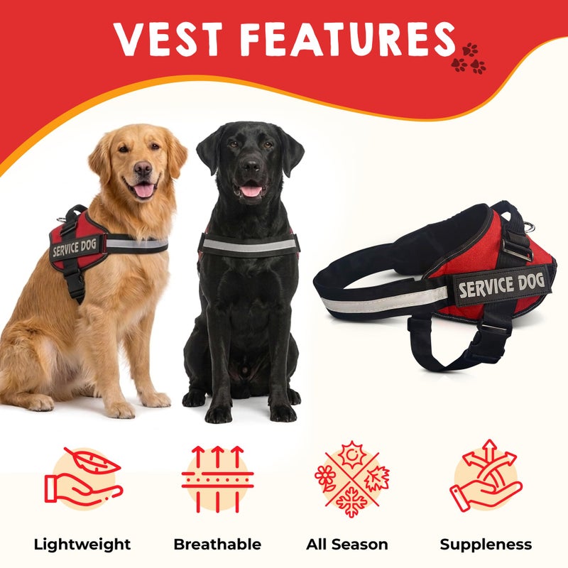 Pelto Service Dog Vest + ID Tag + 50 ADA Information Cards - Service Dog Harness w Patch in Sizes X Small to XX Large, Metal Dog Tag has Durable Clip, Service Animal Information Cards. ESA Accessory Set - Image 3