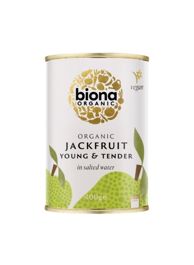 Jackfruit In brine - 400g