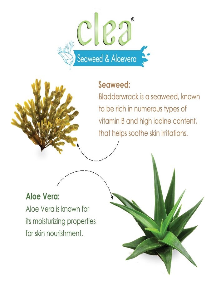 سيلا مناديل كليا المنظفة والمنعشة بخلاصة الأعشاب البحرية والصبار | عبوة من 50 منديلًا فرديًا - Image 4