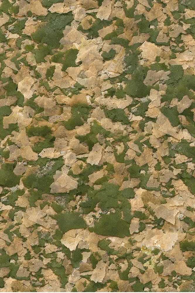 Sera Vipan Tropical Flakes Fish Food 250ml (60g) – Natural Floating Flakes with 4% Insect Meal & Prebiotics, Dye-Free, Preservative-Free, Supports Healthy Growth & Clear Water for Ornamental Fish - Image 2