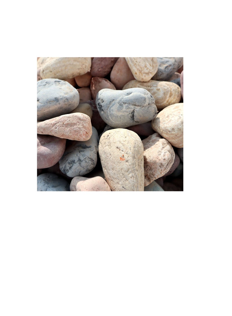 KNP Mix Color River stone Natural Garden Material 5-8 cm 5 kg - Image 2