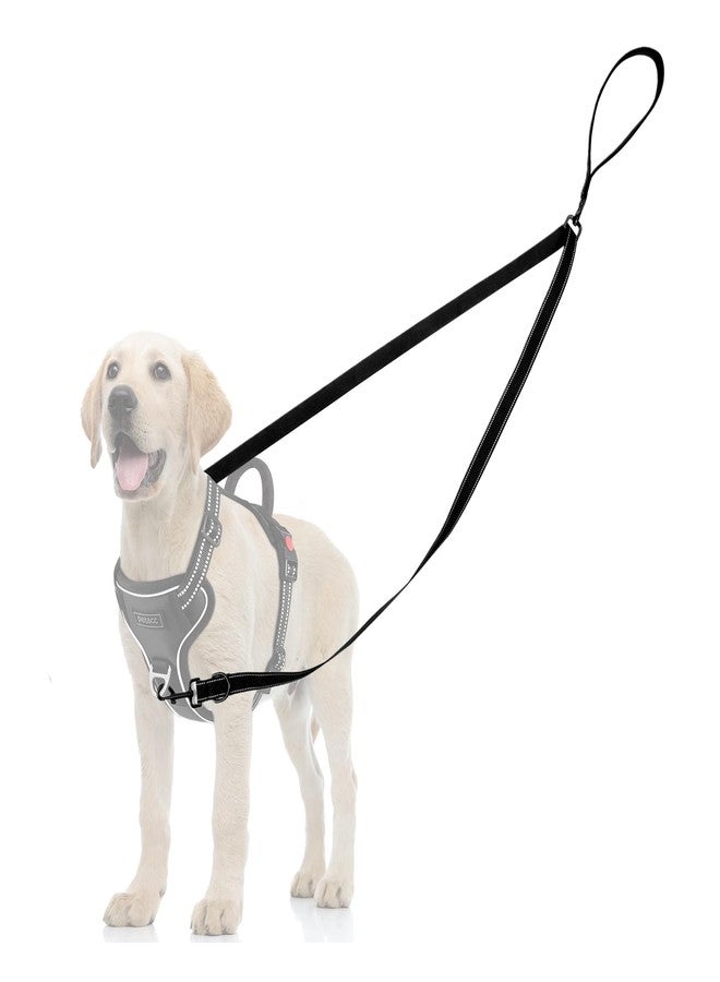 Telooco Two Point Control Dog Leash, Reflective Double Leash for No Pull Harness with Soft Handle No Tangle 4ft Dog Leashes Converts to Single Training Leashes for Medium Large Dogs (Black) - Image 1