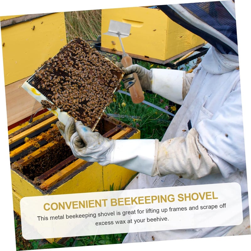 Portable Stainless Steel Beehive Scraper Tool Essential Beekeeping Cleaning Shovel for Hive Frame Maintenance Safe and Easy to Use Present for Beekeepers - Image 2
