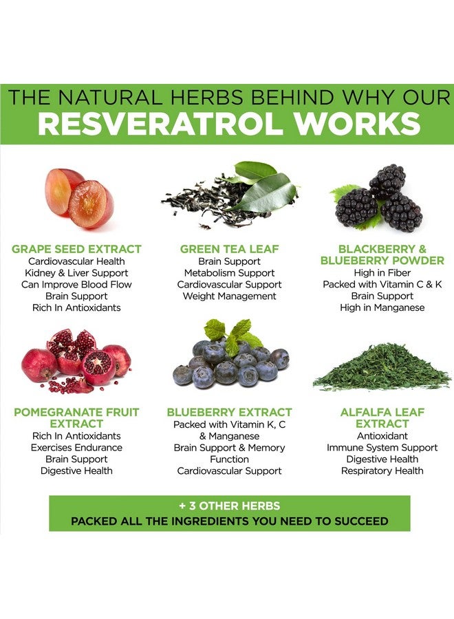 DR. MARTIN'S NUTRITION Extra Strength Resveratrol 1568Mg 180 Capsules 3 Months Supply ; Antioxidant Supplement ; Natural Transresveratrol Pills ; For Antiaging Heart Health Immune System & Brain Function - Image 5