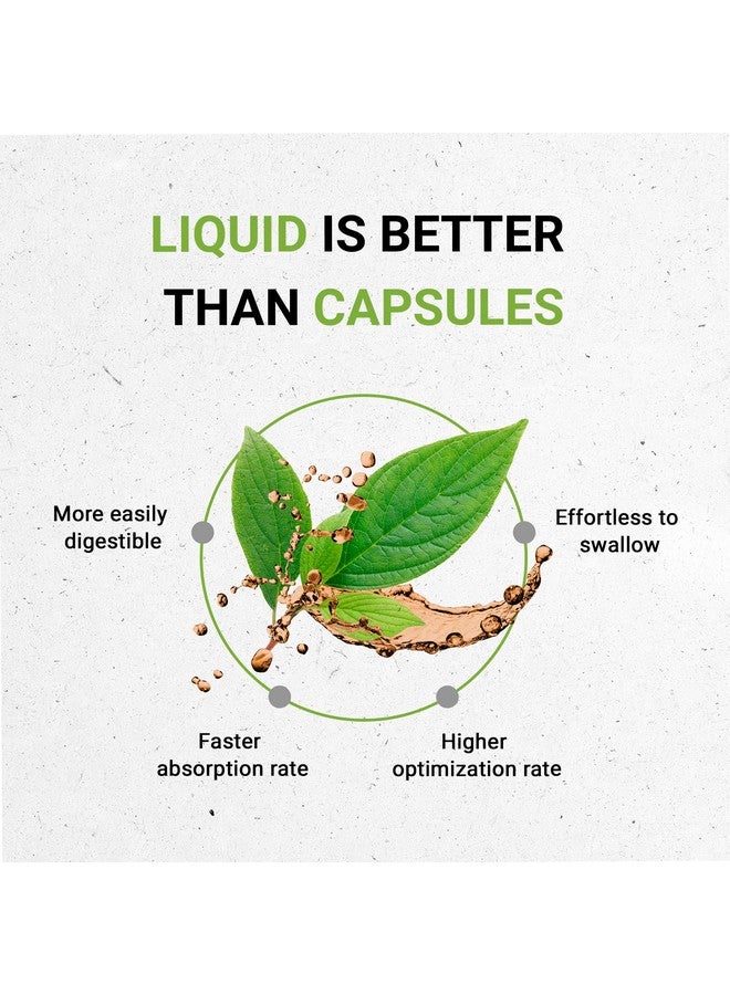 Secrets of the Tribe Horsetail Tincture Alcohol-Free Extract, Horsetail (Equisetum arvense) Dried Herb 2 oz - Image 2