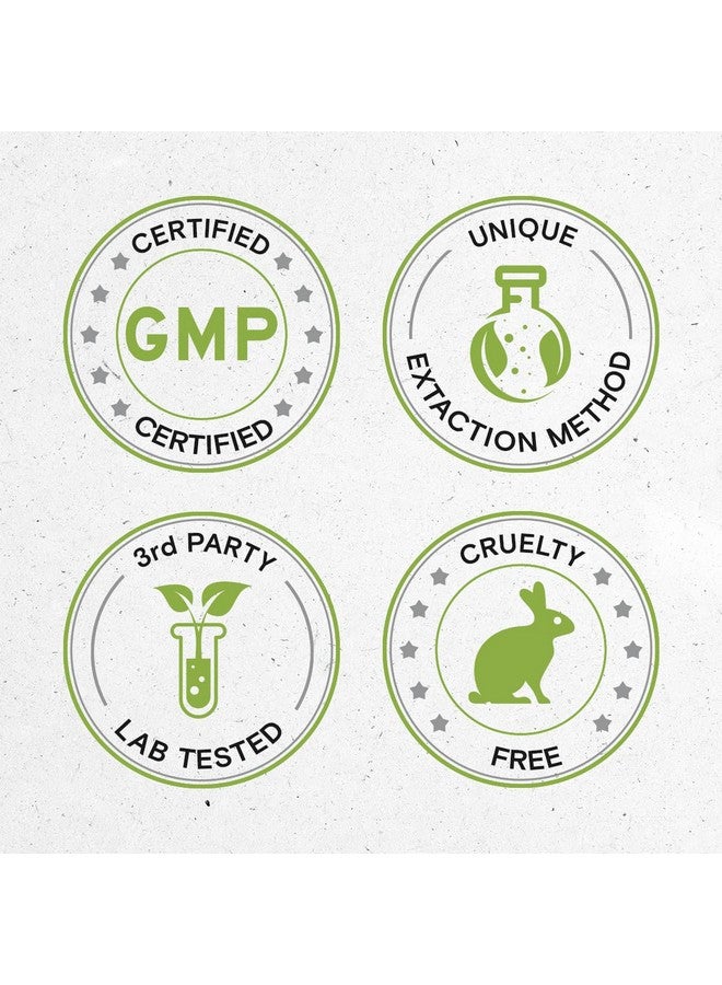 Secrets of the Tribe Horsetail Tincture Alcohol-Free Extract, Horsetail (Equisetum arvense) Dried Herb 2 oz - Image 5