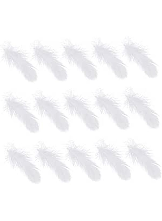 White Color 200 Pcs DIY Craft Decor For Weddings Parties Dream Catchers Photo Shoots - Image 1